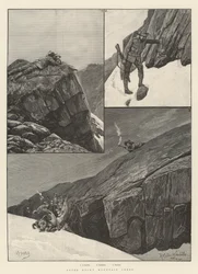 Nach Rocky Mountain Sheep